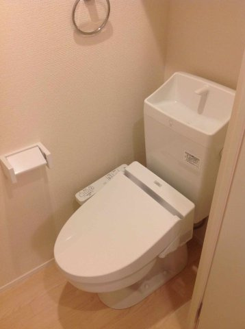 ミランダカーサのその他