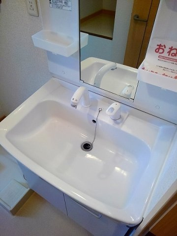 チェリーハイツⅡの洗面所