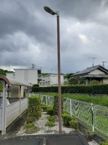 【その他】 | アムール