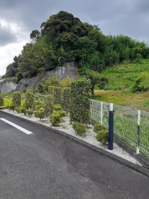 【その他】 | アムール