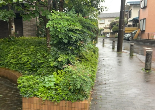 【中庭】 | セントラルコート古淵 | 敷地内に設けられた落ち着きある中庭スペースです。日勤管理体制のもとで整えられており、居住者同士のコミュニケーションや憩いの場としても活用いただけます。敷地全体にゆとりを感じさせる設計です。