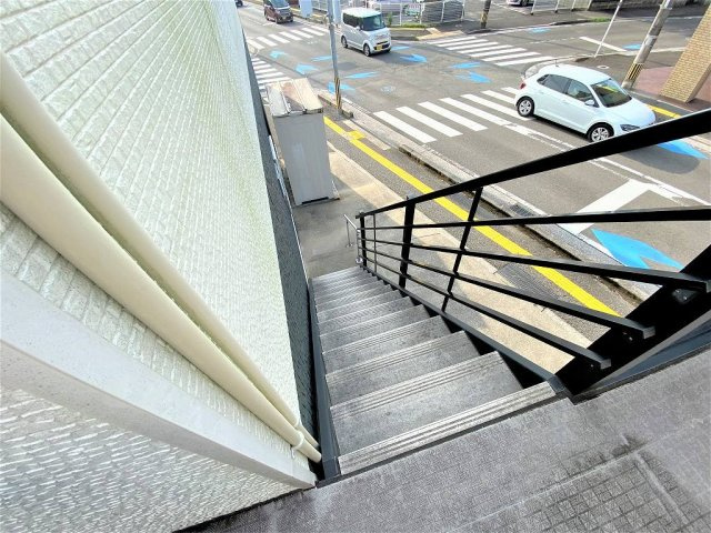 レオネクストブライトスターのその他