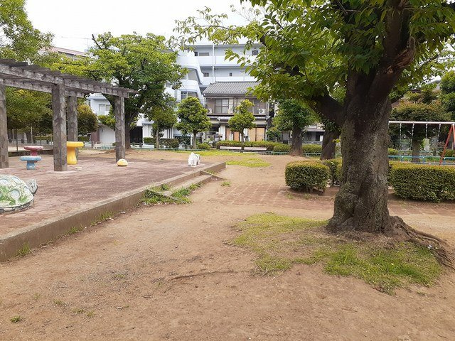 スプリングアイの周辺|芝後谷公園まで320m