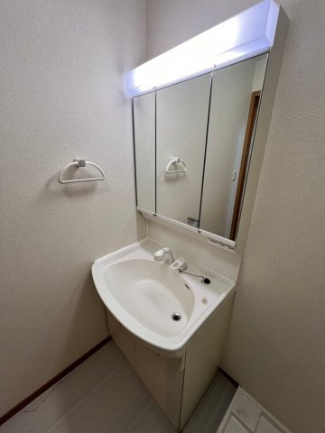 水田地所貸家の洗面所