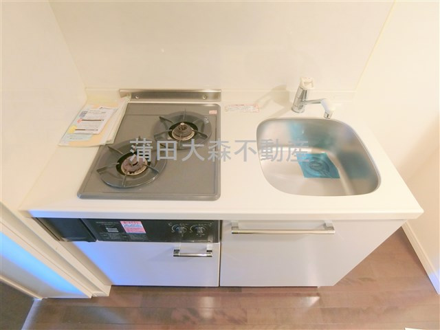 AQUA ARTESSIMO RICHESSE(アクアアルテシモリシェスのキッチン