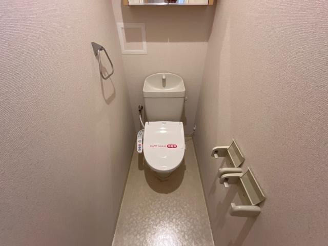 カーサ　ダ　ソルチ（CASA　DA　SORTE）のトイレ|シャワー付トイレ