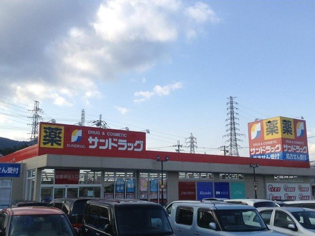 ハッピーユニオンの周辺|サンドラッグまで240m