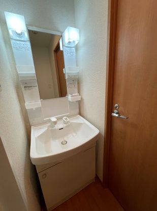 プロフ南大井の洗面所