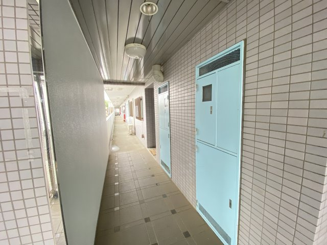 エントピアのその他