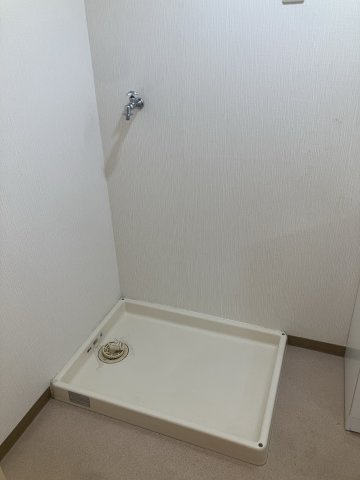 パレプラーンスのその他