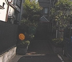 ペルフメリアコーテラⅡのエントランス