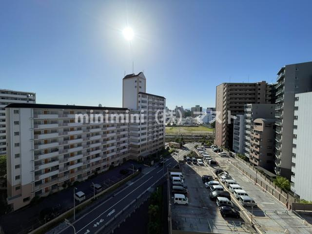 Wolf Pack Apartmentの展望