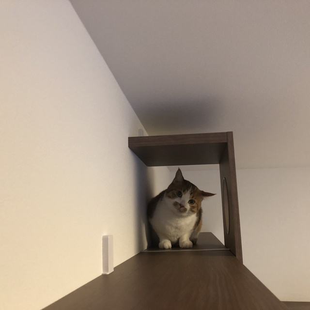 ソラニテ馬込のその他|※写真は同タイプ住戸です。