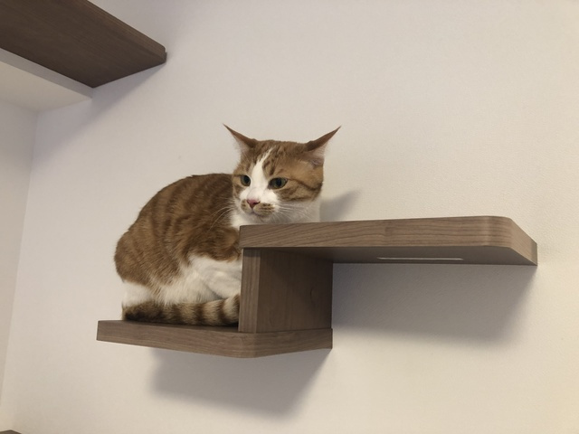 ソラニテ馬込のその他|※写真は同タイプ住戸です。