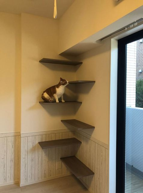 ソラニテ馬込のその他|※写真は同タイプ住戸です。