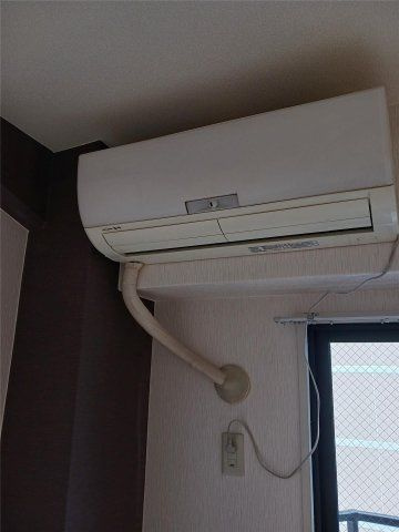 第二ドゥエルなかせいのその他