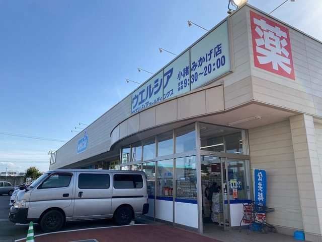 サウス・サバーブズ　Ａの周辺|ウエルシア　小諸みかげ店まで500m