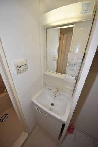 シャトーナンバリブレの洗面所
