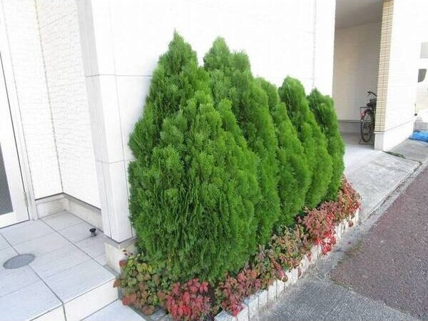 アルバーノ柴田Ferioの外観