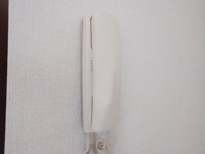 モンパレナスのセキュリティ