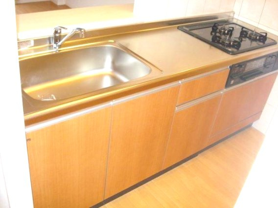 市原市五井中央東２丁目の賃貸マンションのキッチン