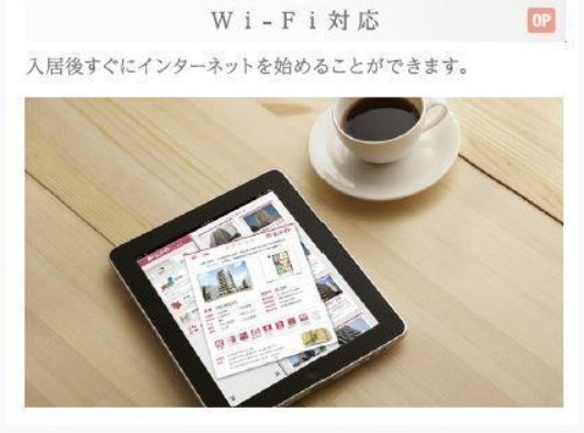 ラ　フェリシティＫのその他
