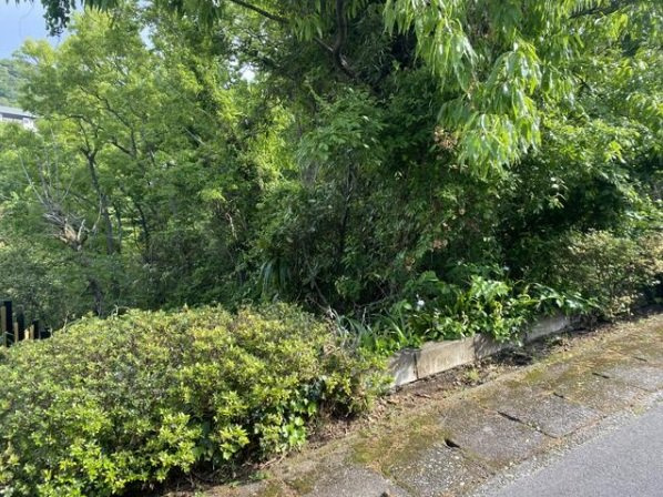 富士急川奈別荘地　小室山グラウンド近くの土地の外観