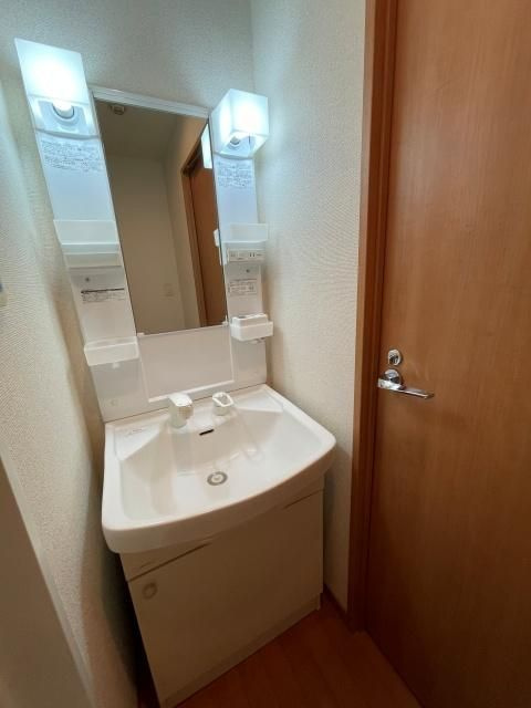 プロフ南大井の洗面所
