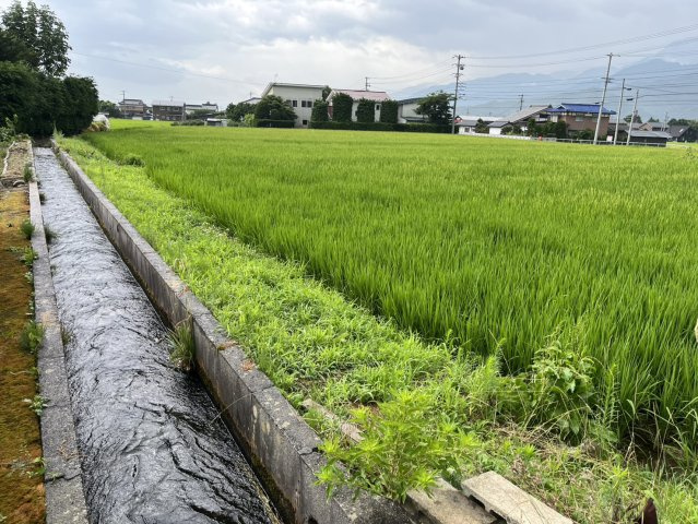 【土地】常盤上一