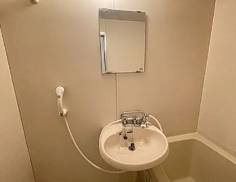 ベルマンションの洗面所