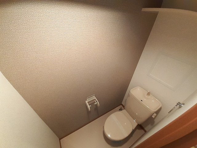 プラシードカーサのトイレ|清潔感のあるトイレです。