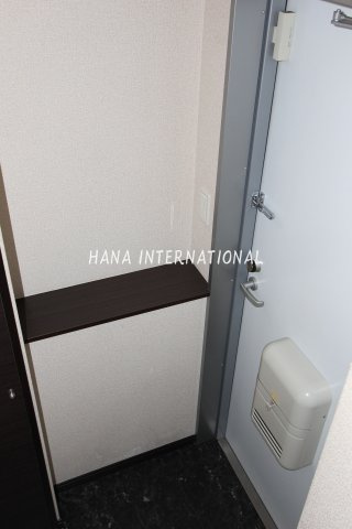 レオネクストチェリーガーデンの玄関