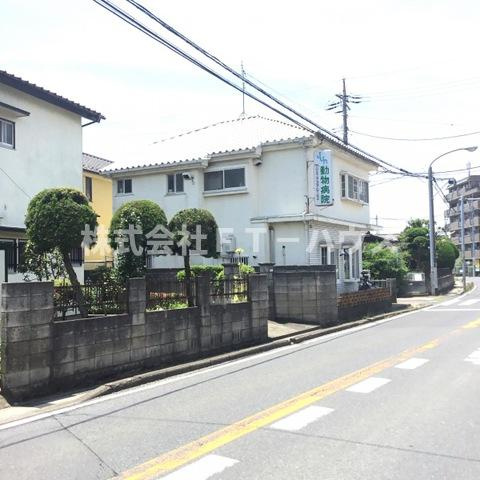 Ａｕｔｕｍｎ　Ｈｉｌｌｓのその他|ＪＵＮ動物病院 0.1km