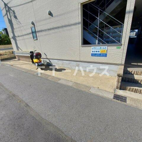 Ｅｌｕａ　Ａｎｅｌａのその他