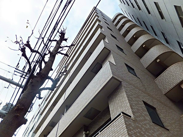 【その他】