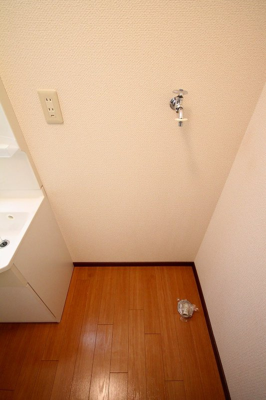 きぬの里 ＨＯＵＳＥの洗面所|洗濯機置き場