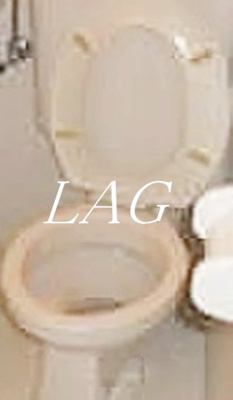 【トイレ】 | トップ成増第三 | トイレです。