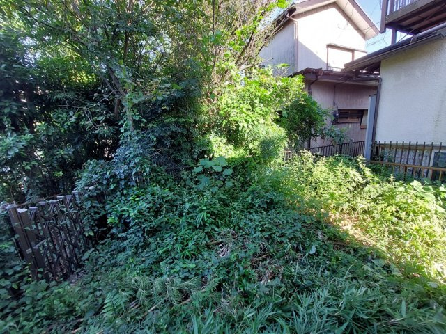 市川市北方町4丁目 戸建の庭|広めのお庭です！