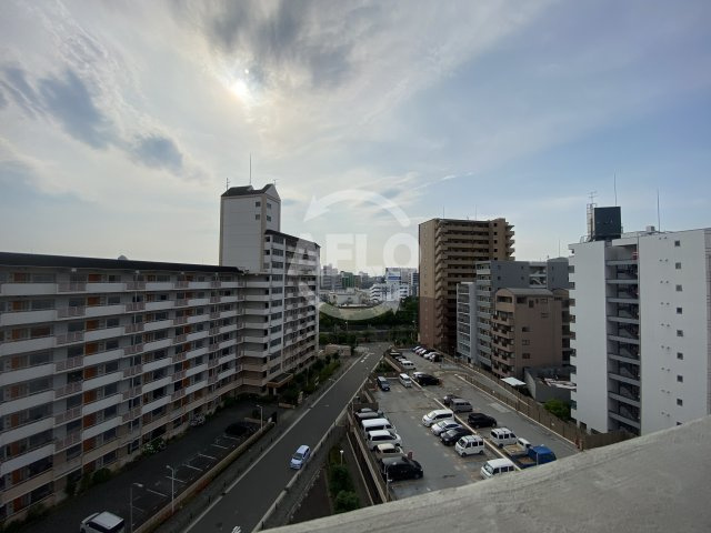 Wolf Pack Apartmentの展望|Wolf Pack Apartment（ウォルフパークアパートメント  ）　展望