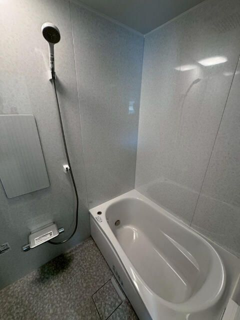 ＷＥＬＬＮＥＳＴ　ＲＯＯＭ　大岡山の浴室