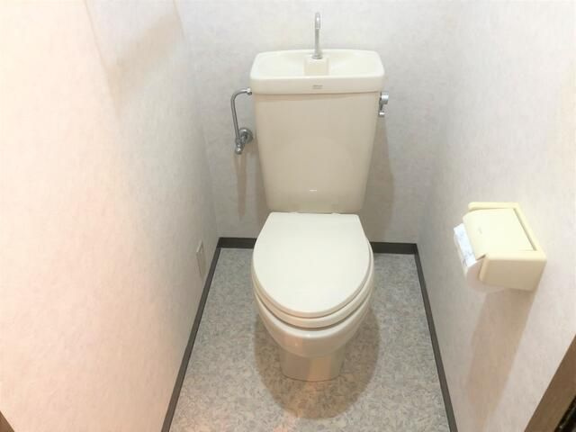 ＡＫⅩⅩⅥプレミール柏のトイレ|落ち着いた色調のトイレです