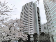 文京グリーンコートビュータワー本駒込B棟の画像