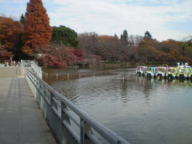 メゾン　ルーエのその他|井の頭公園