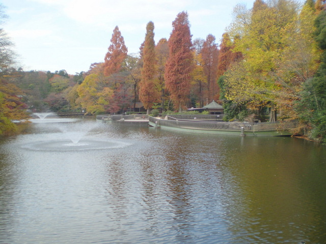 メゾン　ルーエのその他|井の頭公園