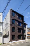 Nerima calmeの画像