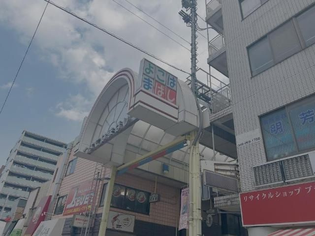 アナベル横濱大通り公園のその他