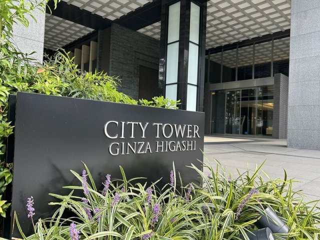 シティタワー銀座東の周辺