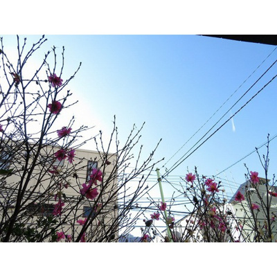 【その他】 | アムス志村 | 眺望