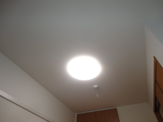 スウィング・バードの設備|照明器具