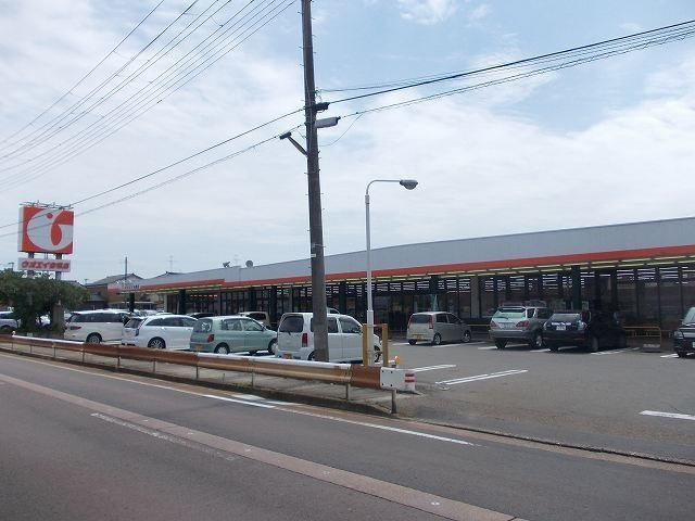 アクロポリスの周辺|ウオエイ金巻店まで1100m